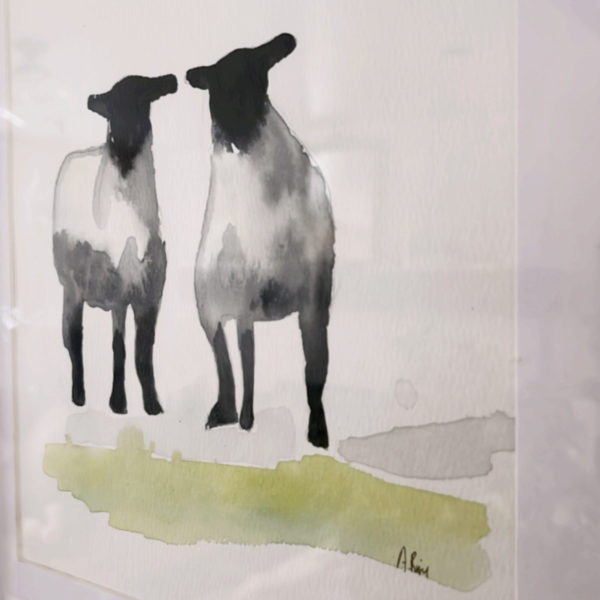 Pair of Ewes in Washboard Frames